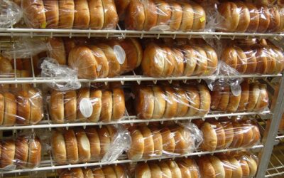 Fleischer’s Bagels Case Study